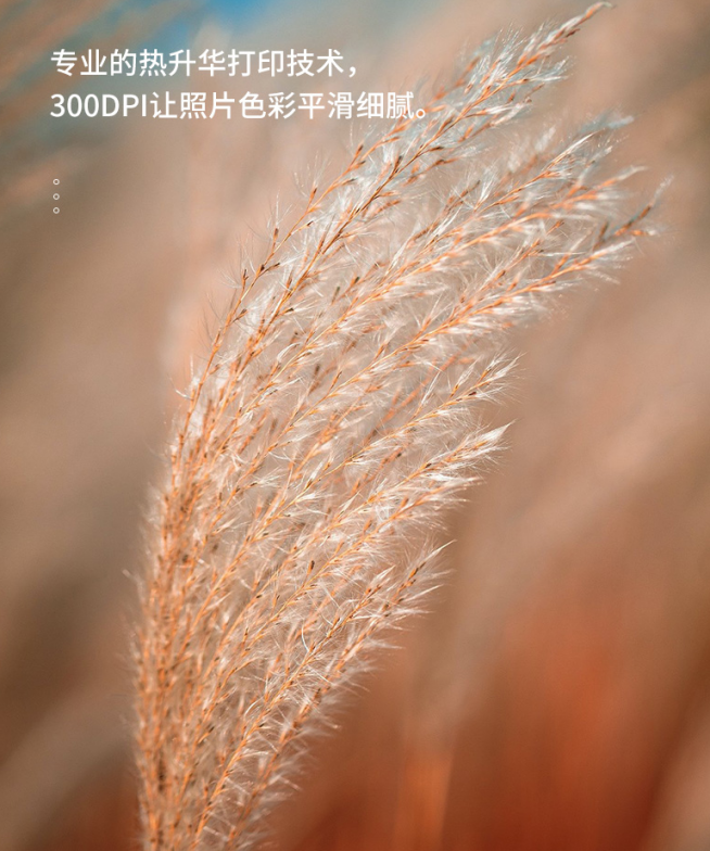 热升华打印技术的照片 热升华打印技术的照片