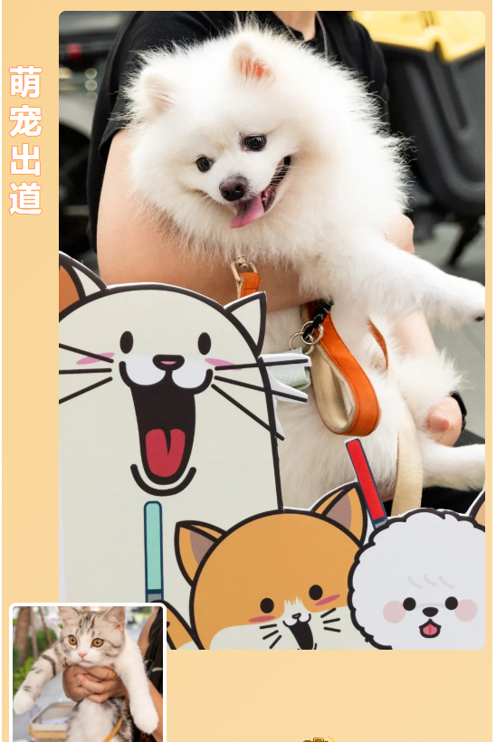 宠物定造1.png 宠物定造1.png