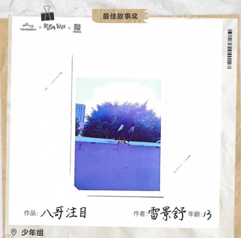 最佳故事奖 少年组_2 最佳故事奖 少年组_2