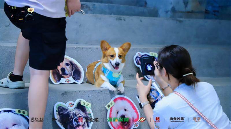 汪的生日会 2 汪的生日会 2